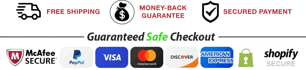 Leanzene secure checkout visa mastercard